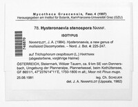 Hysteronaevia stenospora image
